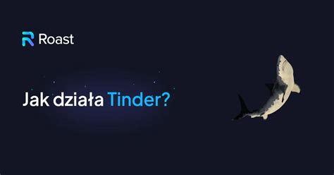 tinder portal randkowy|Przewodnik po Tinderze – Tinder